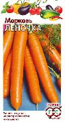 Леночка сорт моркови