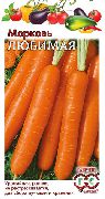 Любимая сорт моркови