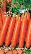 Чаровница сорт моркови
