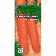 Сентябрина сорт моркови