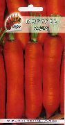 Садко сорт моркови