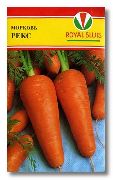 Рекс сорт моркови