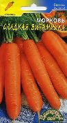 Сладкая витаминка сорт моркови