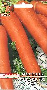 Берликум Роял сорт моркови