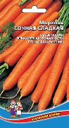 Сочная Сладкая сорт моркови