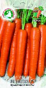 Наполи F1 сорт моркови