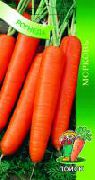 Рогнеда сорт моркови