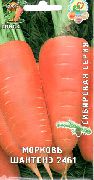 Шантенэ 2461(сибирская серия) сорт моркови
