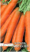 Ярославна сорт моркови