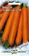 Деликатесная  сорт моркови