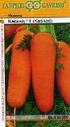 морковь Каскад F1 фото поздний гибрид, выращивание, посадка и уход, купить Каскад F1 семена