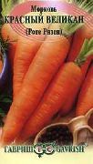 морковь Красный великан (Роте Ризен) фото поздний сорт, выращивание, посадка и уход, купить Красный великан (Роте Ризен) семена