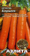 Барыня сорт моркови