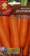 Долянка сорт моркови