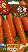 морковь Зимний нектар фото поздний сорт, выращивание, посадка и уход, купить Зимний нектар семена