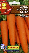 Каротин Супер сорт моркови