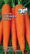 морковь Королева Осени фото поздний сорт, выращивание, посадка и уход, купить Королева Осени семена