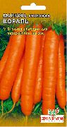 морковь Кораль фото поздний сорт, выращивание, посадка и уход, купить Кораль семена
