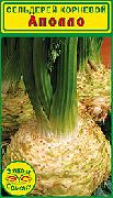 сельдерей Аполло  фото раннеспелый сорт, выращивание, посадка и уход, купить Аполло  семена