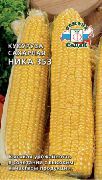 Ника 353 F1 сорт кукурузы
