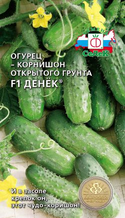 Огурцы Вьюга Купить Семена