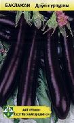 Длинный пурпурный сорт баклажан