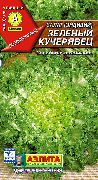 Зеленый кучерявец (эндивий) сорт салата