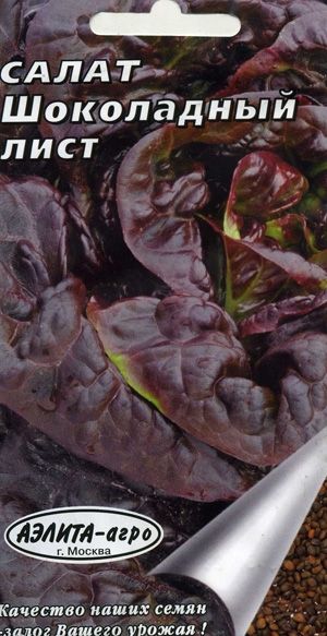 листовой Шоколадный лист салат-латук фото раннеспелый сорт, выращивание, посадка и уход, рассада, купить Шоколадный лист семена