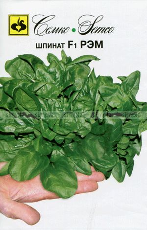 листовой Рэм F1 шпинат фото среднеспелый гибрид, выращивание, посадка и уход, рассада, купить Рэм F1 семена