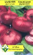 репчатый лук Кривичский розовый фото раннеспелый сорт, выращивание, посадка и уход, рассада, купить Кривичский розовый семена