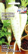 петрушка Омега фото среднеспелая сорт, выращивание, посадка и уход, рассада, купить Омега семена