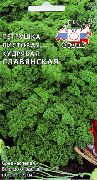 петрушка Славянская фото среднеспелая сорт, выращивание, посадка и уход, рассада, купить Славянская семена