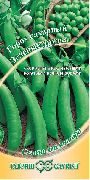 горох Зеленые друзья фото раннеспелый сорт, выращивание, посадка и уход, рассада, купить Зеленые друзья семена