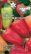 Подарок Молдовы сорт перца