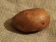Серпанок сорт картофеля