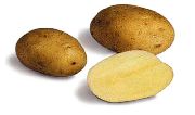 Каратоп сорт картофеля