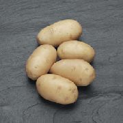 Виктория сорт картофеля