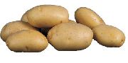 Космос сорт картофеля