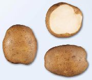 Кураж сорт картофеля