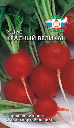 редис Красный Великан фото среднеспелый сорт, выращивание, посадка и уход, купить Красный Великан семена