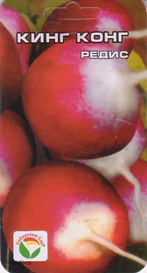 редис Кинг-конг фото среднеспелый сорт, выращивание, посадка и уход, купить Кинг-конг семена