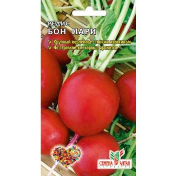 редис Бон Пари фото среднеспелый сорт, выращивание, посадка и уход, купить Бон Пари семена