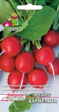 редис Кармелита фото среднеспелый сорт, выращивание, посадка и уход, купить Кармелита семена