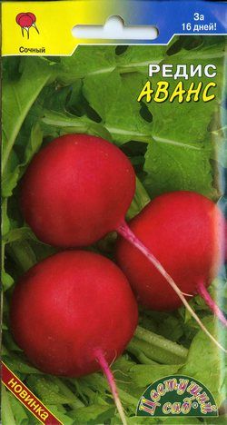 редис Аванс фото раннеспелый сорт, выращивание, посадка и уход, купить Аванс семена