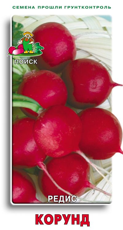 редис Корунд фото среднеспелый сорт, выращивание, посадка и уход, купить Корунд семена