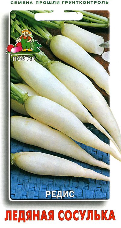 редис Ледяная сосулька фото среднеспелый сорт, выращивание, посадка и уход, купить Ледяная сосулька семена