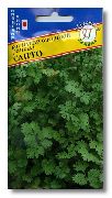 пряные травы Кинза (Кориандр) Санто (кориандр) фото сорт, выращивание, посадка и уход, купить Санто (кориандр) семена