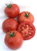 Мадера F1 сорт томатов (помидоров)