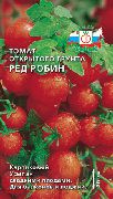 Ред Робин сорт томатов (помидоров)
