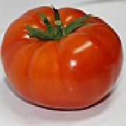 Шелф F1 сорт томатов (помидоров)